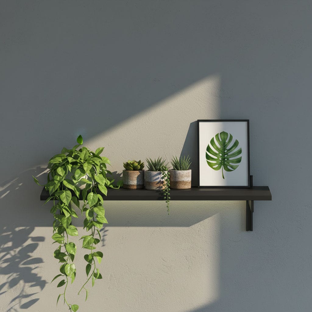 M-Float 12-inch-deep floating aluminum shelf with LED channel in black finish, shown as a single display shelf.