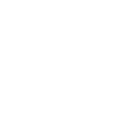 Modern Shelving Values Icon