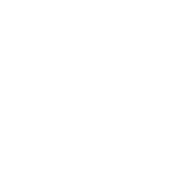 Modern Shelving Values Icon